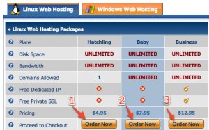 web-hosting-4 Selection of Package